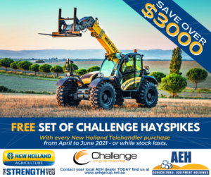 Free set of challenge hayspikes